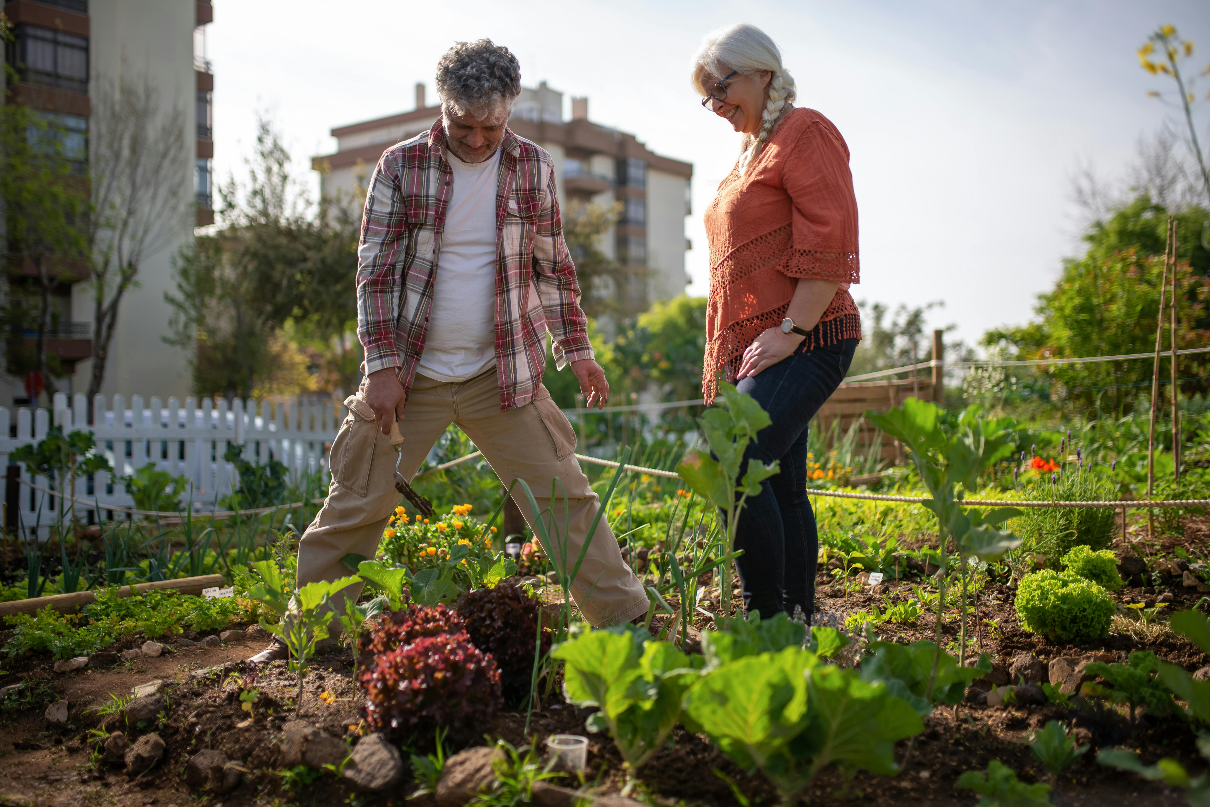 Deux personnes dans un jardin potager illustrant la responsabilité environnementale