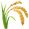 Category Icon