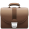 Category Icon