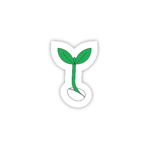 Seed Image